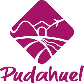 Municipalidad de Pudahuel
